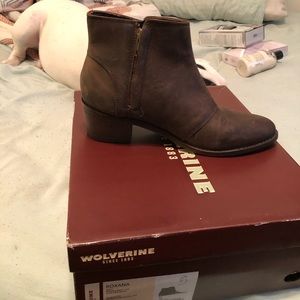 Brand new booties
